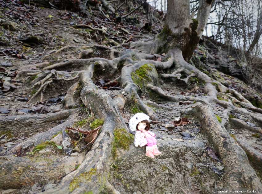 В поисках елки. Realpuki. 67 часть