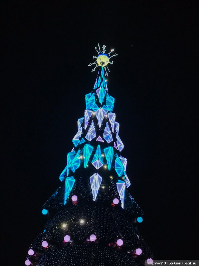 Лилак и предновогодний Харьков (фото 3)