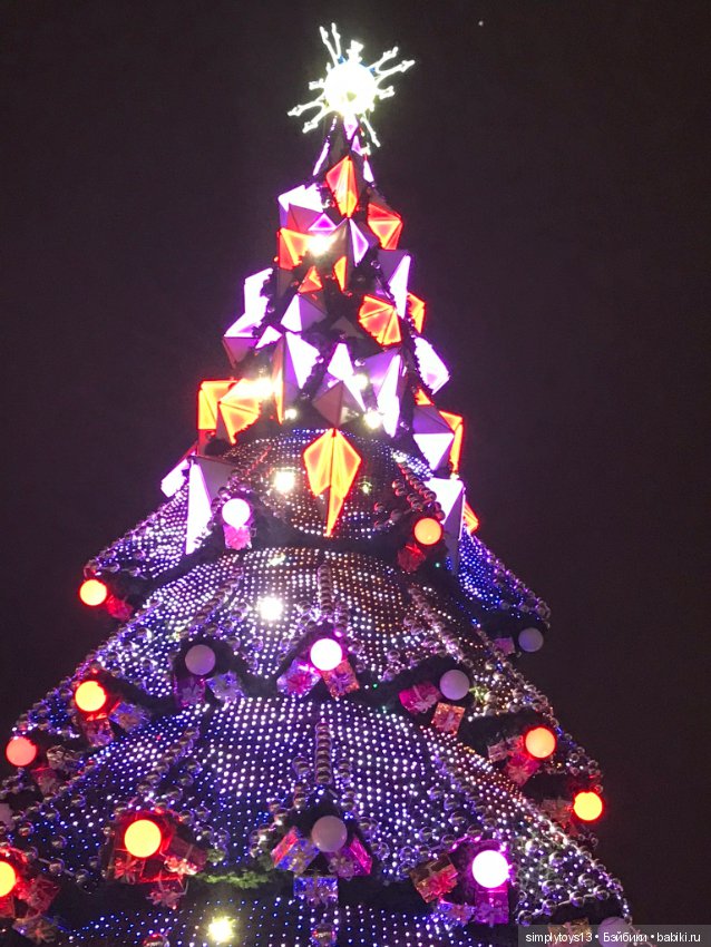 Лилак и предновогодний Харьков (фото 4)