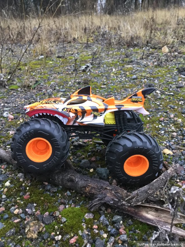 Желанный подарок дочки или монстр трак от hot wheels