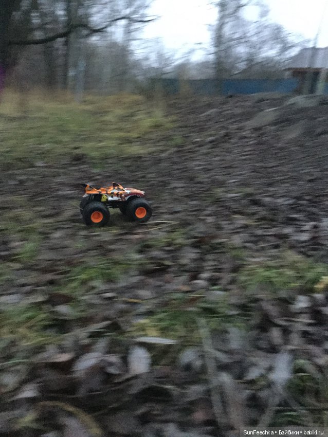 Желанный подарок дочки или монстр трак от hot wheels (фото 8)