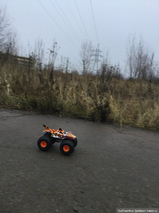 Желанный подарок дочки или монстр трак от hot wheels (фото 4)