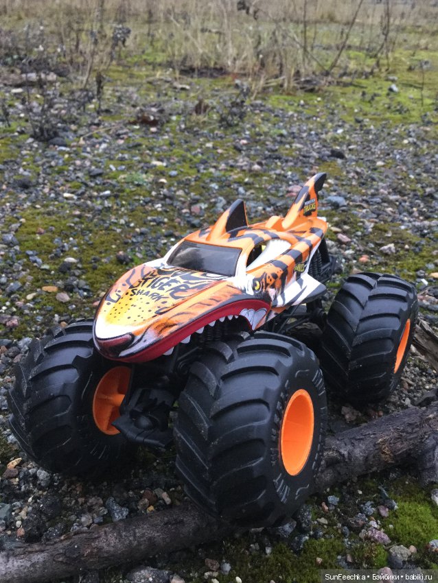 Желанный подарок дочки или монстр трак от hot wheels (фото 2)