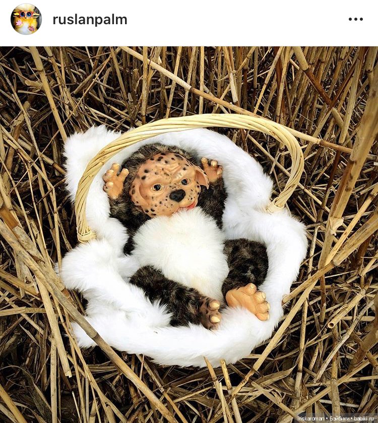 Чудесное приобретение - Монстрик (фото 2)