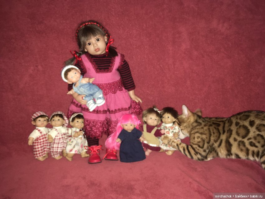 Гномосемейство расширяется (фото 2)