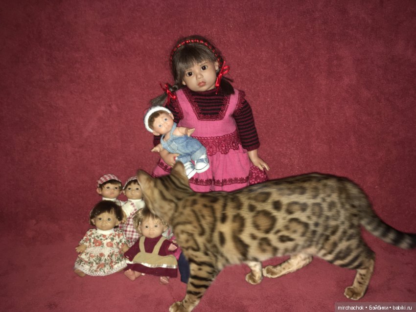 Гномосемейство расширяется (фото 3)