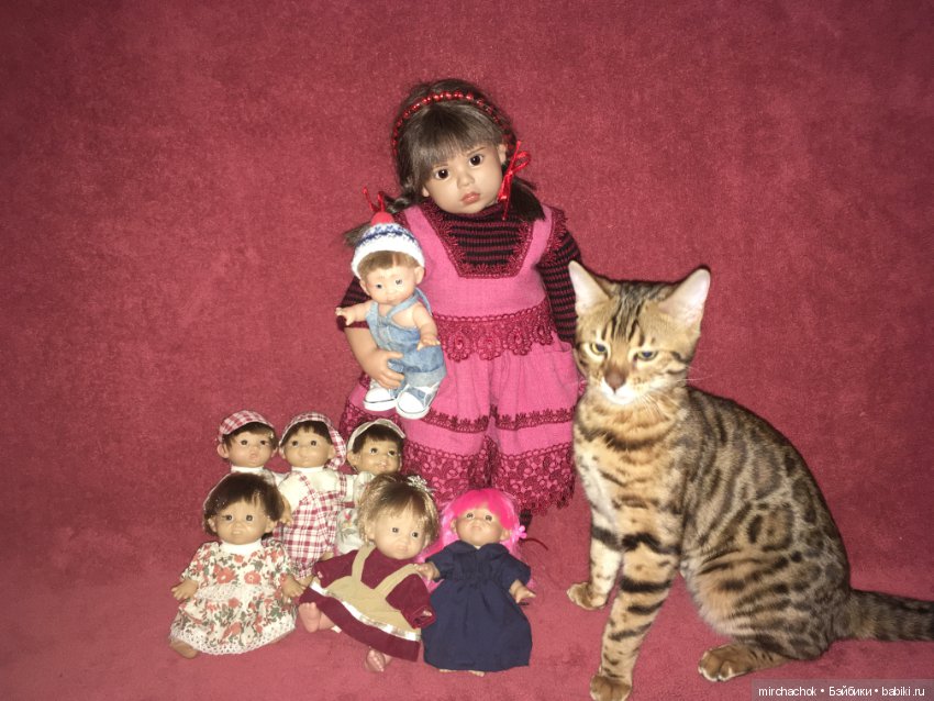 Гномосемейство расширяется (фото 6)