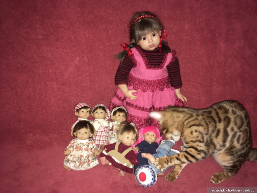 Гномосемейство расширяется (фото 5)