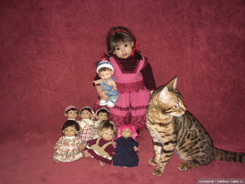 Гномосемейство расширяется (фото 7)