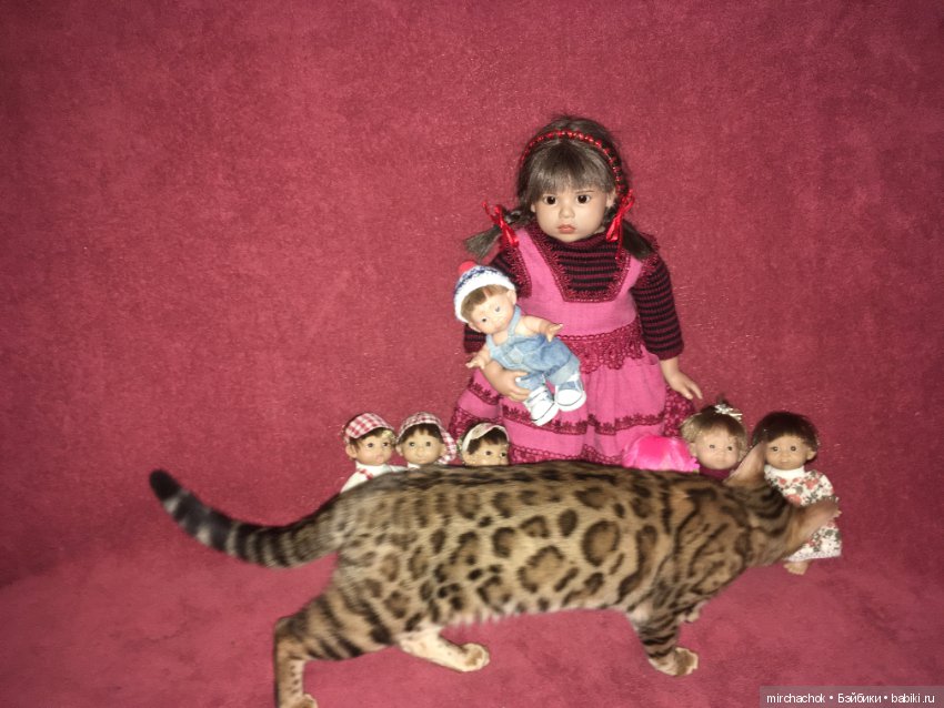 Гномосемейство расширяется