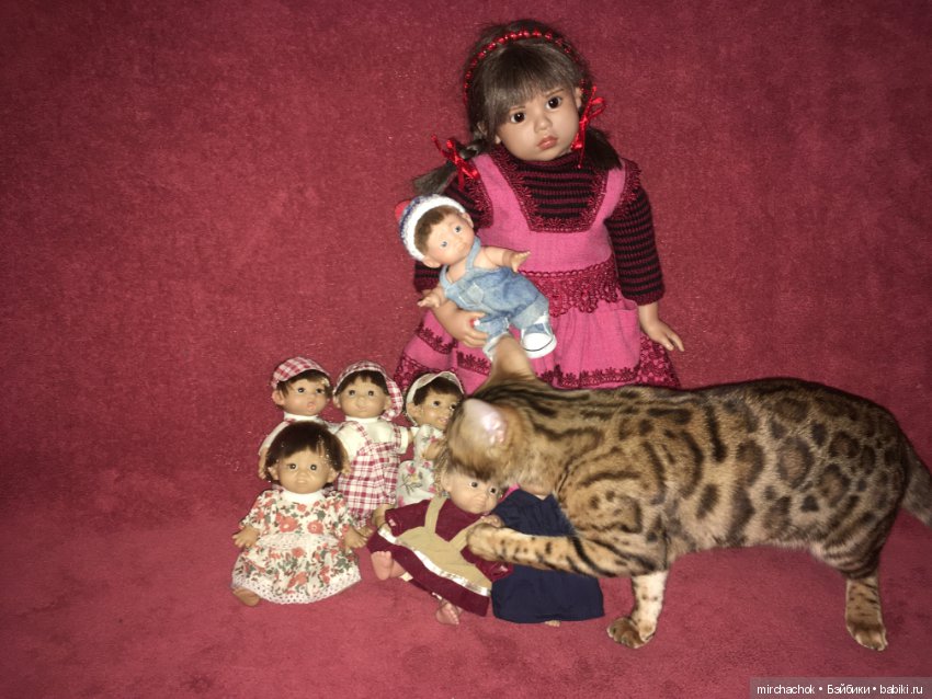 Гномосемейство расширяется (фото 4)