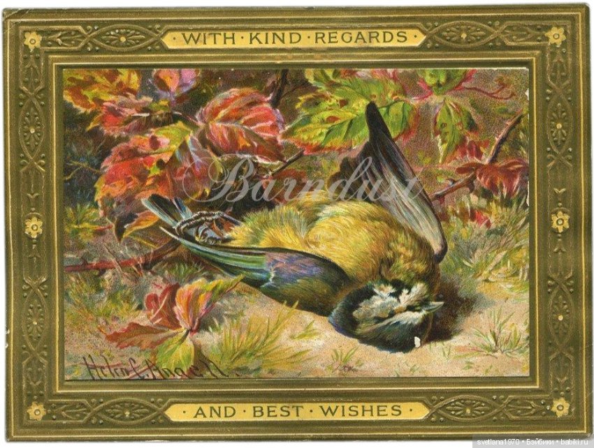 Не совсем живые птички тоже передают поздравления (фото 5)