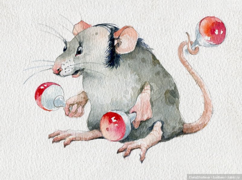 На позитиве — В мире животных: смешные фото питомцев и зверей