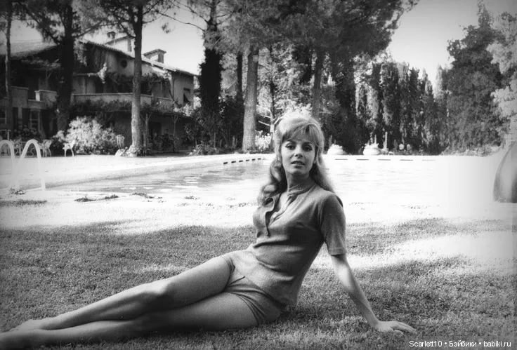 Мишель Мерсье. Неукротимая Анжелика