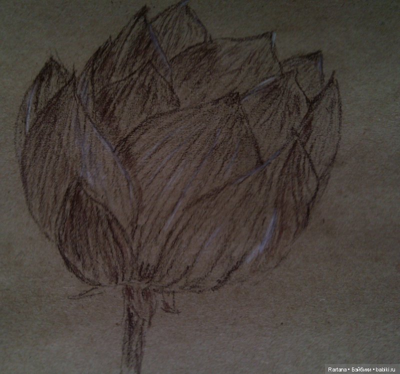 Акварели и прочее — Рисование и арт: скетчи (фото 6)