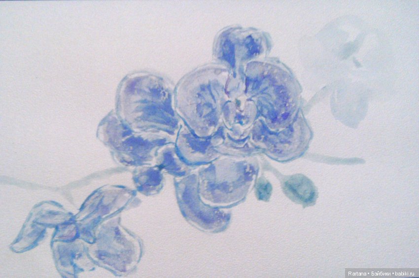 Акварели и прочее — Рисование и арт: скетчи (фото 10)