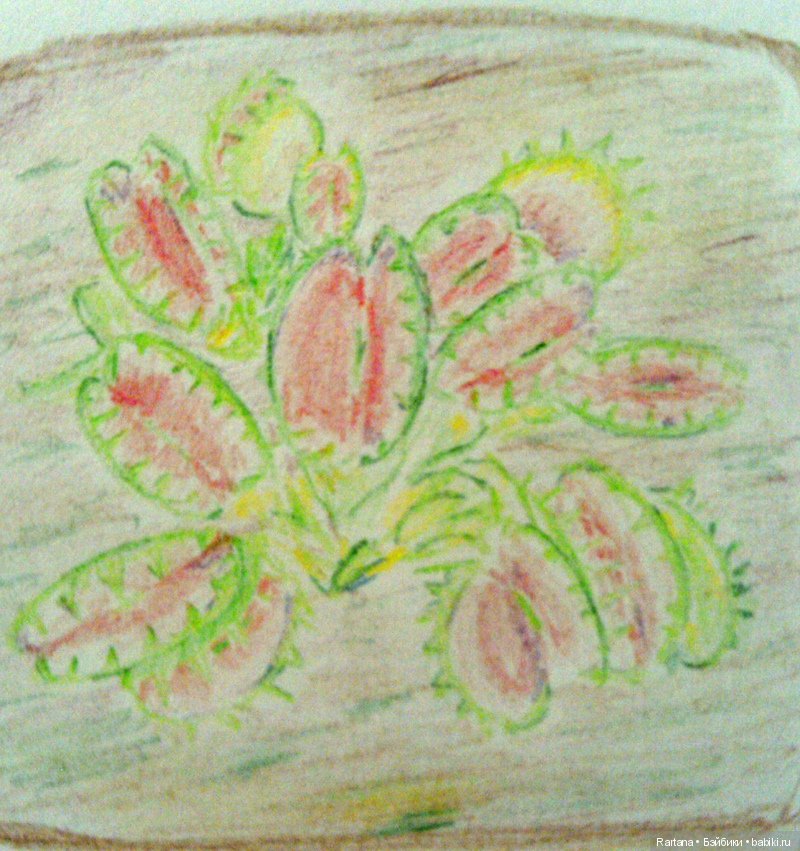 Акварели и прочее — Рисование и арт: скетчи (фото 7)