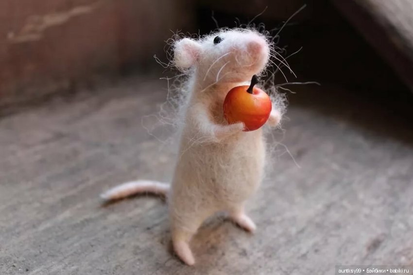 Новогодний мышиный топик — Другие хобби и увлечения: сад