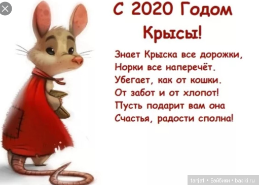 Год Крысы - один из самых счастливых годов по китайскому гороскопу (фото 2)