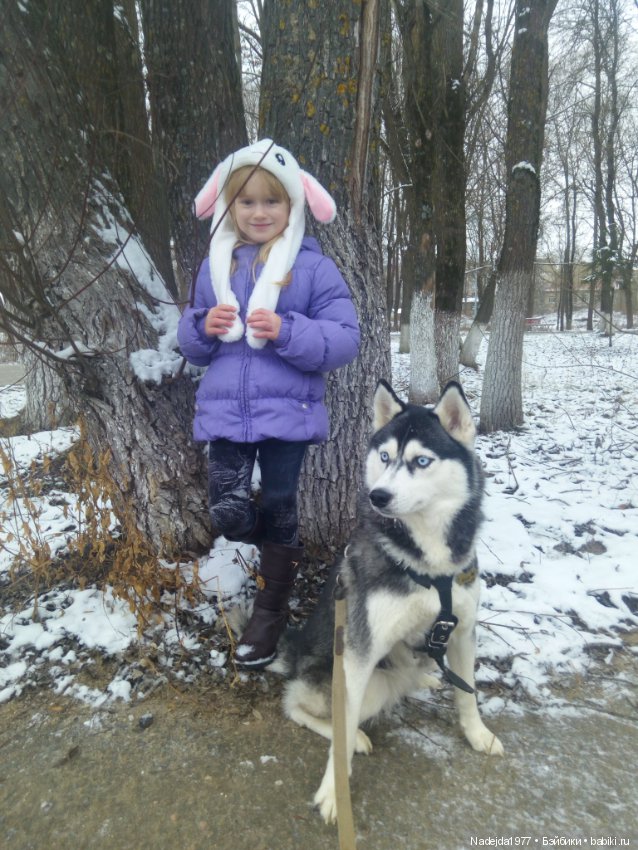 С наступающим Новым годом всех жителей любимых Бейбиков