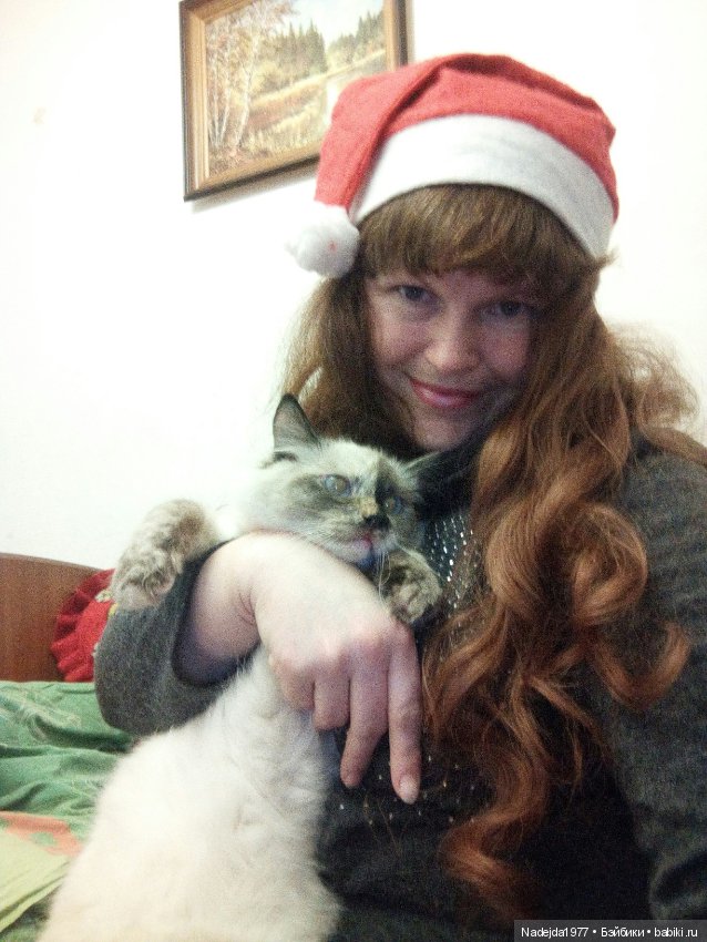 С наступающим Новым годом всех жителей любимых Бейбиков