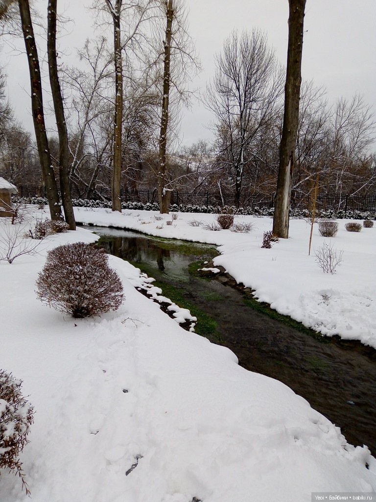 Прогулка с Хантером (ЭАХ) в парке