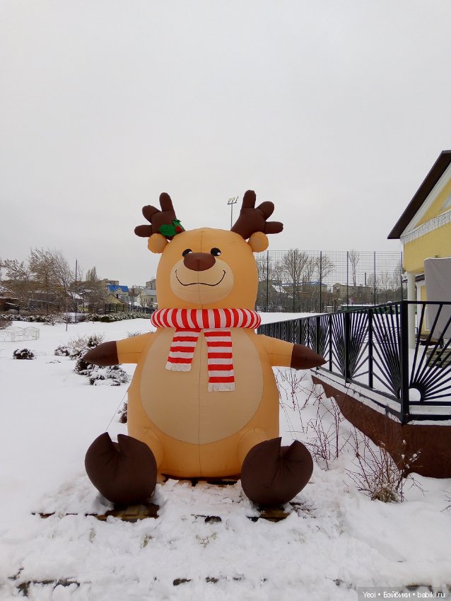 Прогулка с Хантером (ЭАХ) в парке