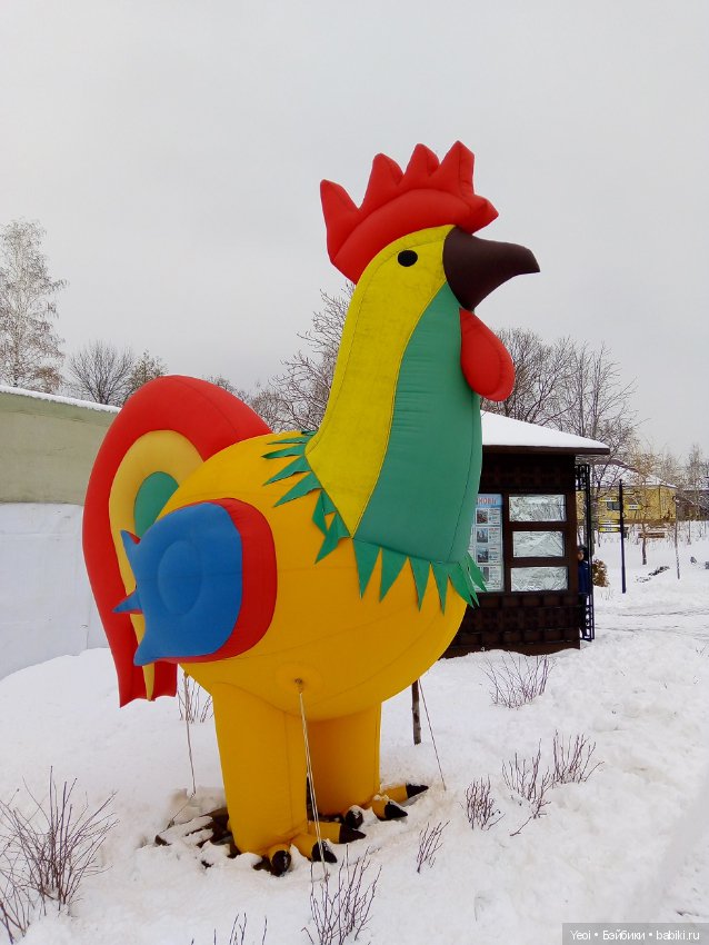 Прогулка с Хантером (ЭАХ) в парке