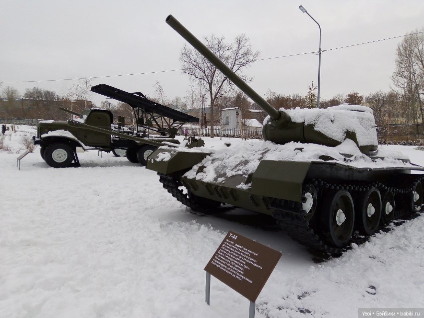 Прогулка с Хантером (ЭАХ) в парке