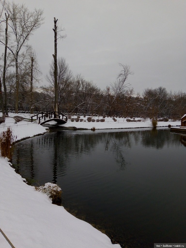 Прогулка с Хантером (ЭАХ) в парке