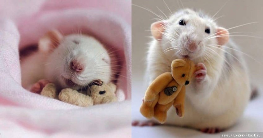 Гороскоп кукольника на 2020 год (фото 3)