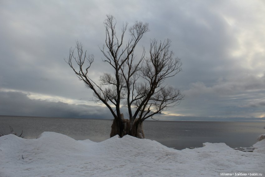 Happy New Year — Куклы Integrity Toys (Интегрити): Poppy Parker