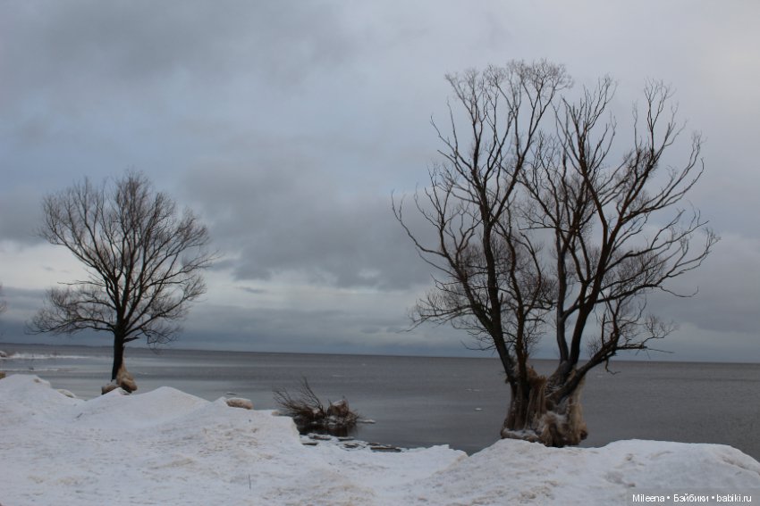 Happy New Year — Куклы Integrity Toys (Интегрити): Poppy Parker