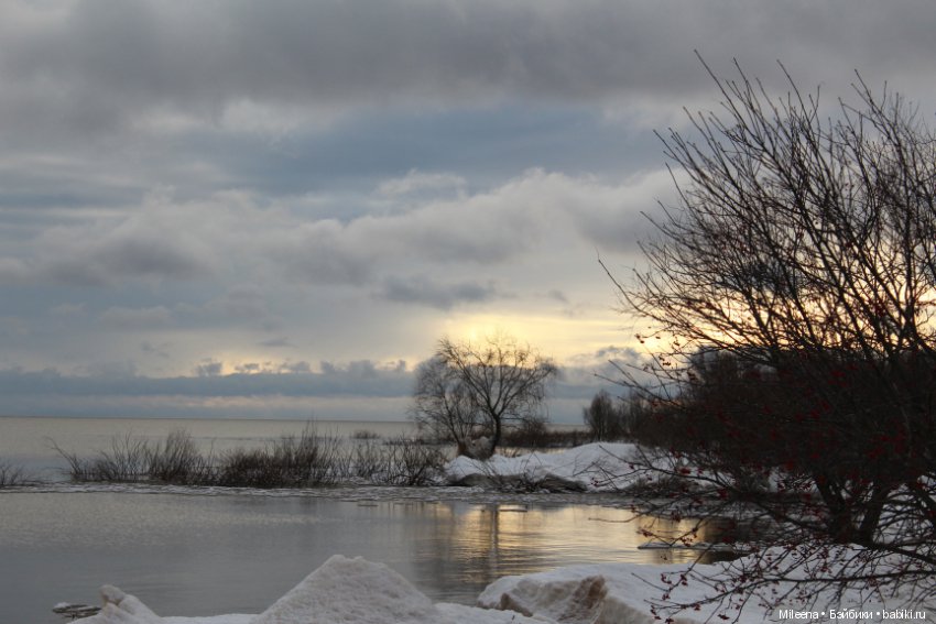 Happy New Year — Куклы Integrity Toys (Интегрити): Poppy Parker