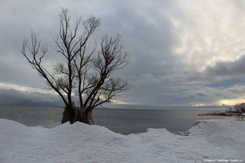 Happy New Year — Куклы Integrity Toys (Интегрити): Poppy Parker