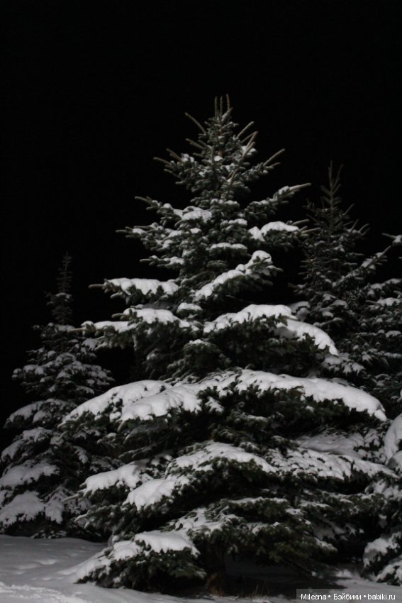 Happy New Year — Куклы Integrity Toys (Интегрити): Poppy Parker