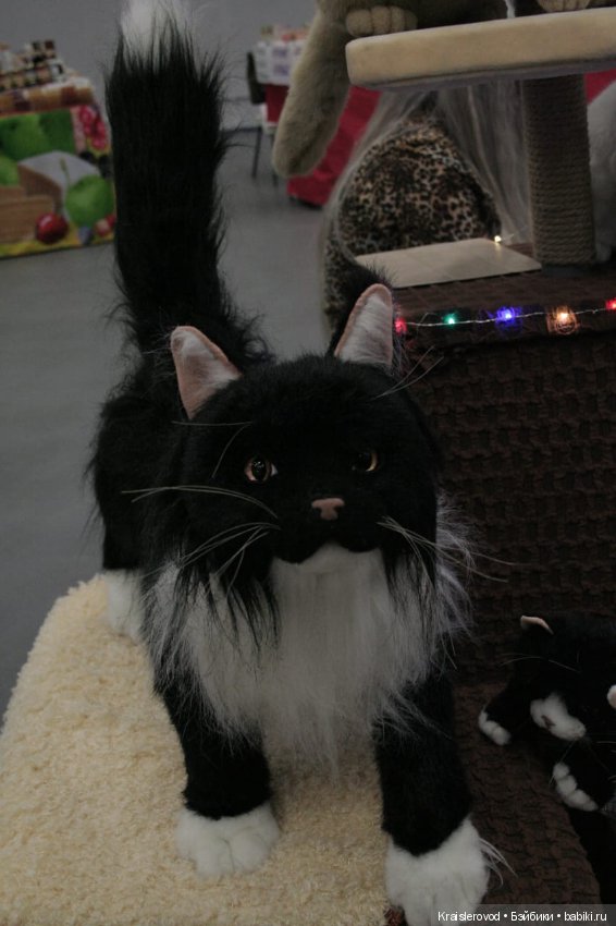 Царская кукла. Часть 3 — Выставки кукол и мишек Тедди: фоторепортажи