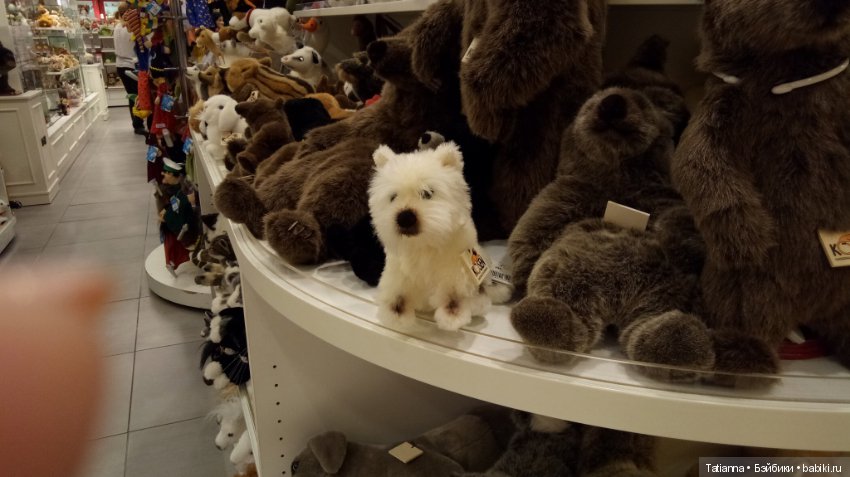 Как я кукол Готц искала — Туризм и путешествия: фотоотчеты из поездок