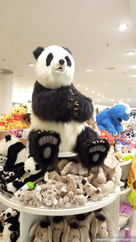 Как я кукол Готц искала — Туризм и путешествия: фотоотчеты из поездок (фото 8)