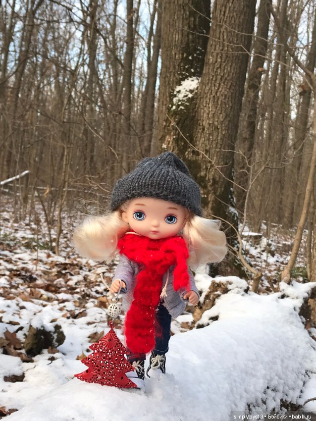 Небольшая зимняя прогулка (фото 7)