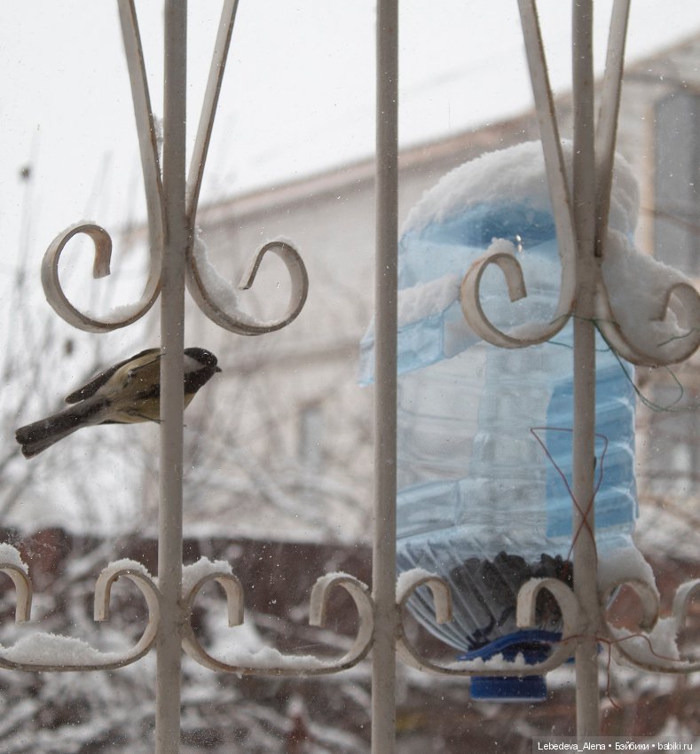 Зима пришла — Куклы Dollstown (Доллстаун): BJD (БЖД)