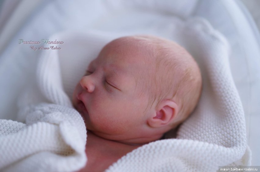 Alma от Bountiful Baby, автор прототипа Alexa Calvo