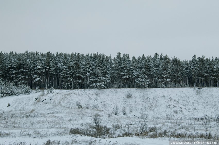 Ариэль — Куклы Iplehouse (Иплхаус): BJD (БЖД)