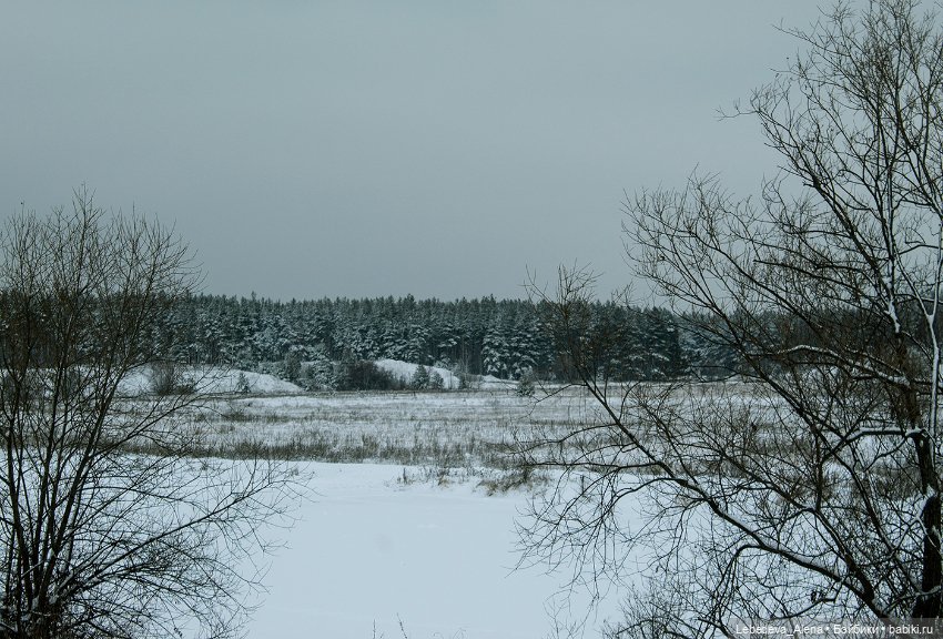 Ариэль — Куклы Iplehouse (Иплхаус): BJD (БЖД) (фото 2)