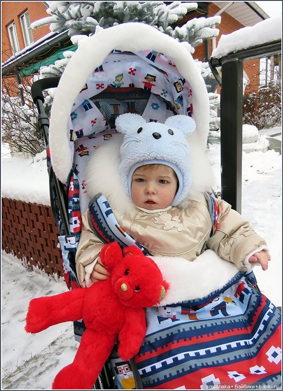 Димулька в зимней колясочке (фото 7)