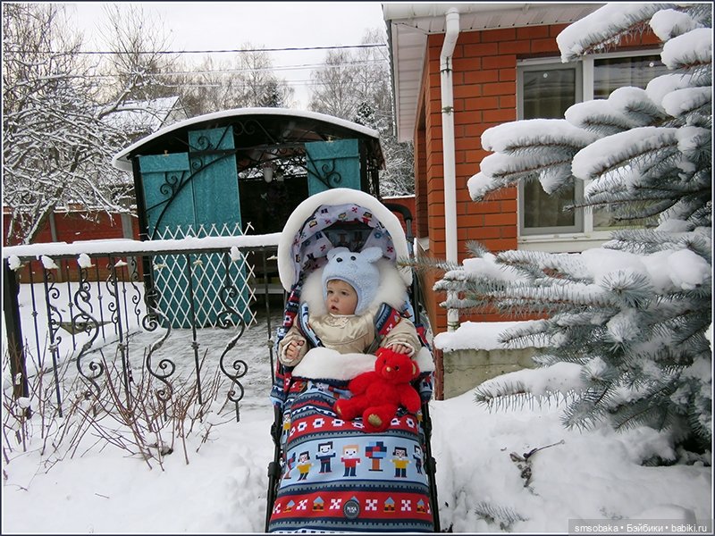 Димулька в зимней колясочке (фото 9)