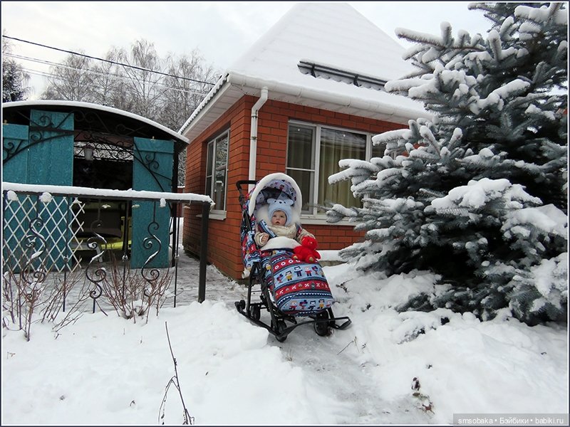 Димулька в зимней колясочке (фото 8)