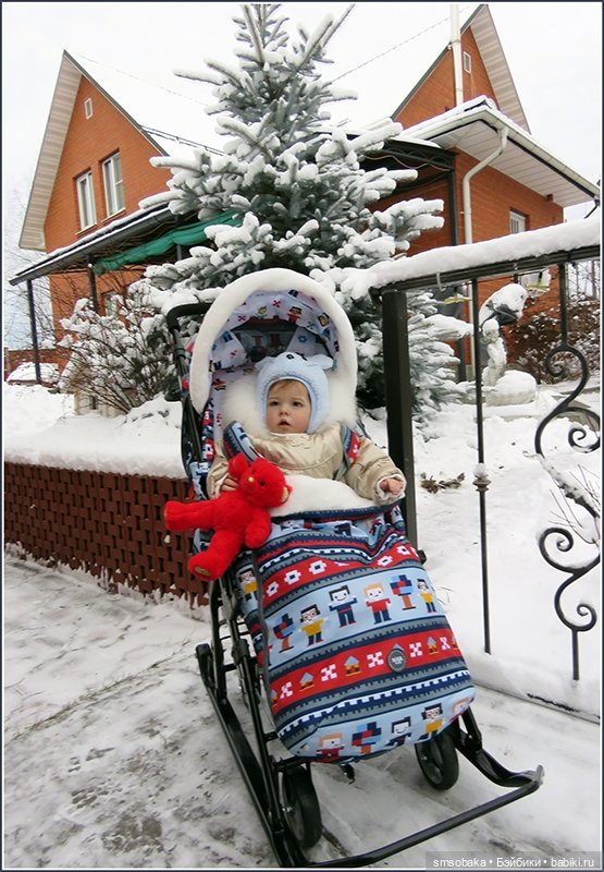 Димулька в зимней колясочке (фото 5)