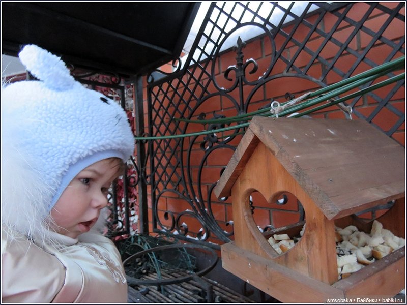 Димулька в зимней колясочке