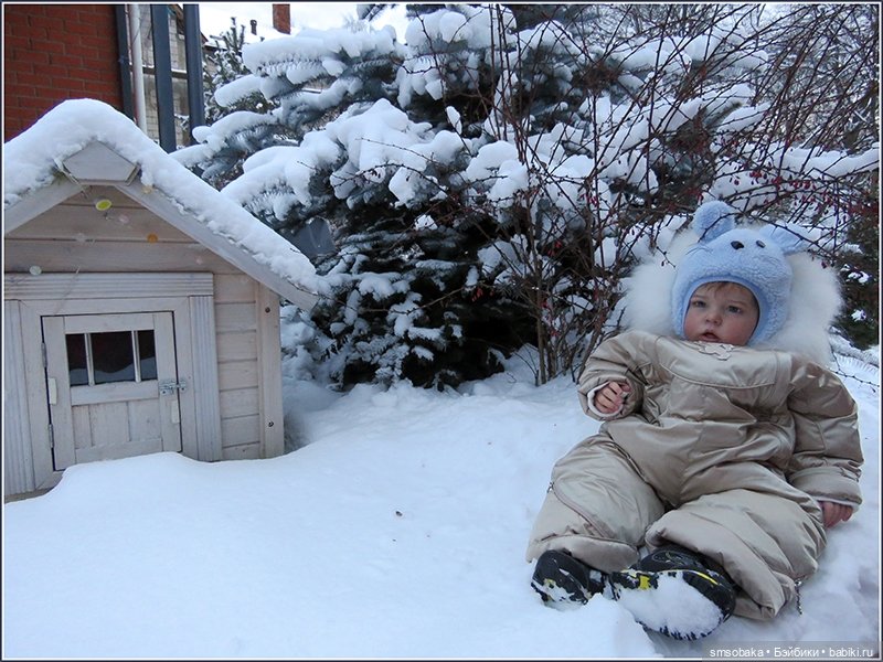 Димулька в зимней колясочке (фото 2)